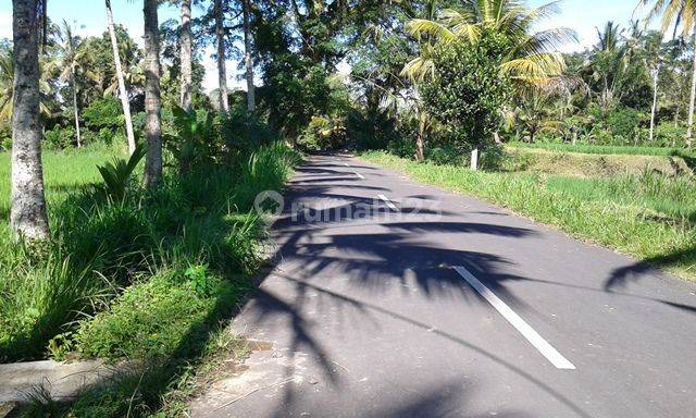 Tanah dengan harga murah karena kebutuhan yang mendesak 1