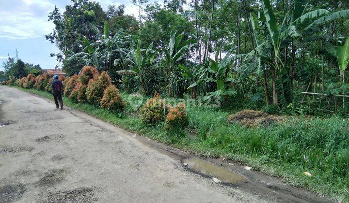 Tanah Strategis Jln Cibanteng Dekat Kampus I P B 2