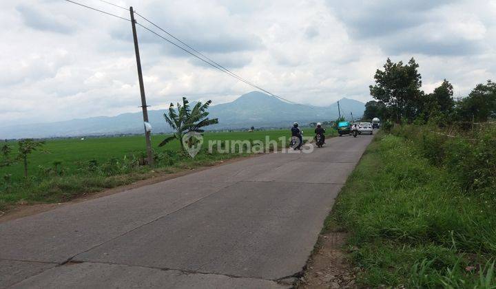 Tanah Rancaekek Bandung 1