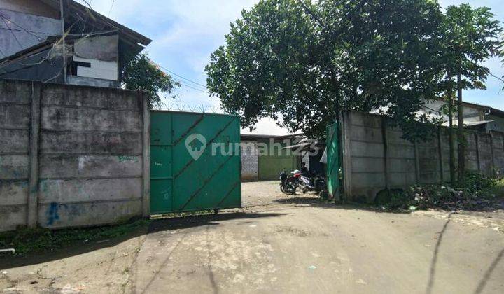 Peternakan Ayam Petelor Jln Rumpin Dekat Akses Jakarta Tangerang 1