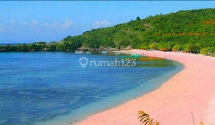 Tanah Los Pantai Pink Beach Harga Nego 1