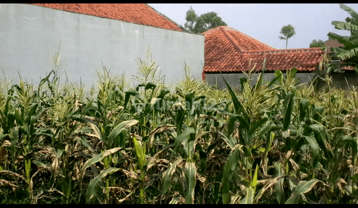 TANAH KAVLING KOTAK SARIWANGI ASRI BANDUNG 2