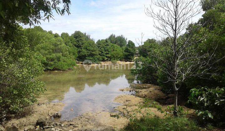 1.5 Ha land in Tanjung Benoa near BTDC, watersport, turtle breeding 1