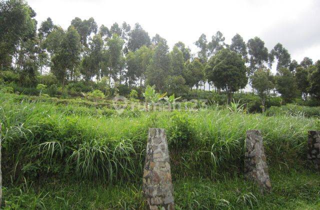 2 HA Pasirwangi Lembang WISATA EXCLUSIVE 1