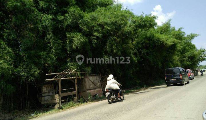 Tanah Pinggir Jalan Raya Puspitek Serpong  2