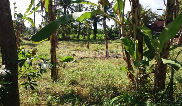 land good for villa land good for villa