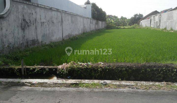 Tanah Strategis Tepi Jalan Aspal Dekat Jl. Damai 2