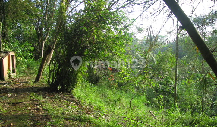 Tanah cantik view sungai dan sawah Tanah cantik view sungai dan sawah