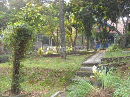 Tanah Kebun Siap Bangun Bonus Rumah Dan Kost2an 2