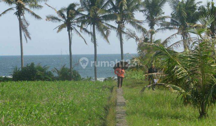 Beachfront Land at Tabanan Bali 2