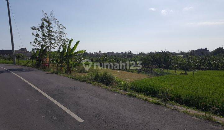 Land 500 meters from Pererenan Beach 2