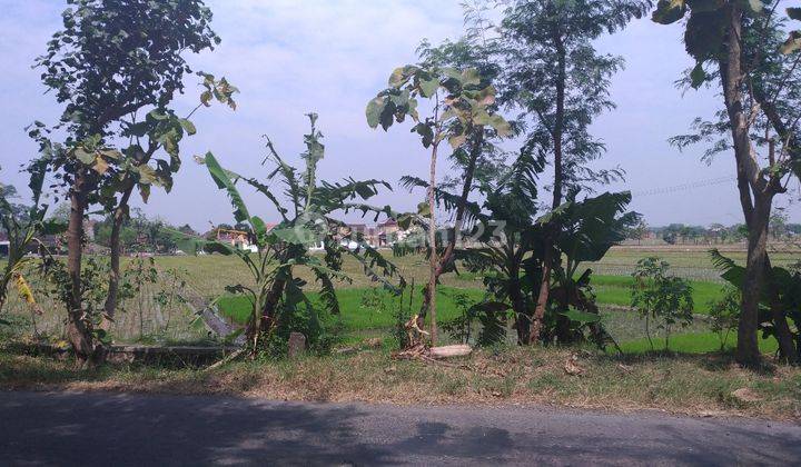 Tanah Kering Dekat Pintu Tol Kebakkramat Karanganyar Solo 1