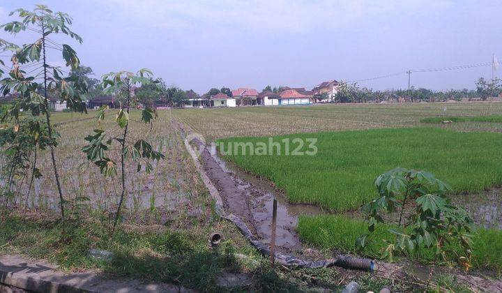 Tanah Kering Dekat Pintu Tol Kebakkramat Karanganyar Solo 2