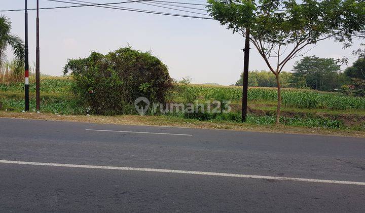 Tanah Industri, Raya Dlanggu, Mojokerto 1