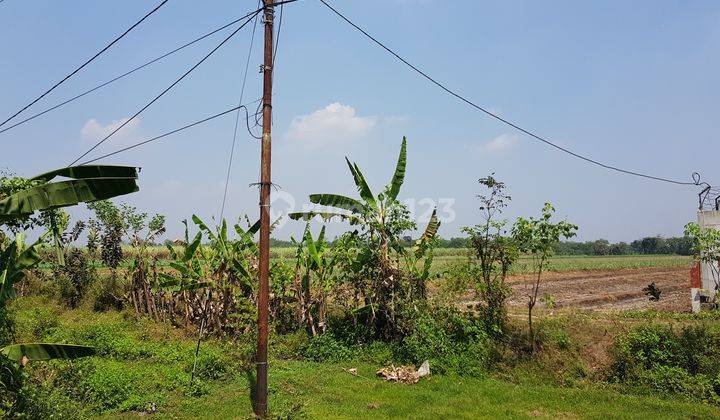 Tanah Industri, Raya Dlanggu, Mojokerto (dekat Pengolahan Besi) 1