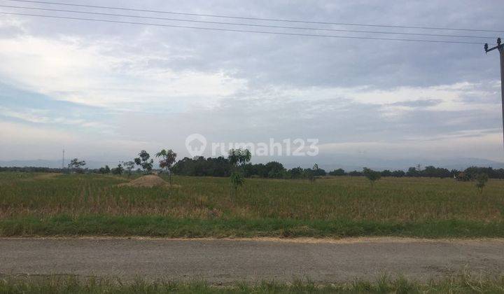 Tanah Dekat Bandara Kertajati Majalengka, Kertajati, Majalengka, Jawa Barat 1