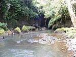 Tanah Dijual, Luas 38.000m2, View Sawah Dan Sungai, di Ubud, Bali 2