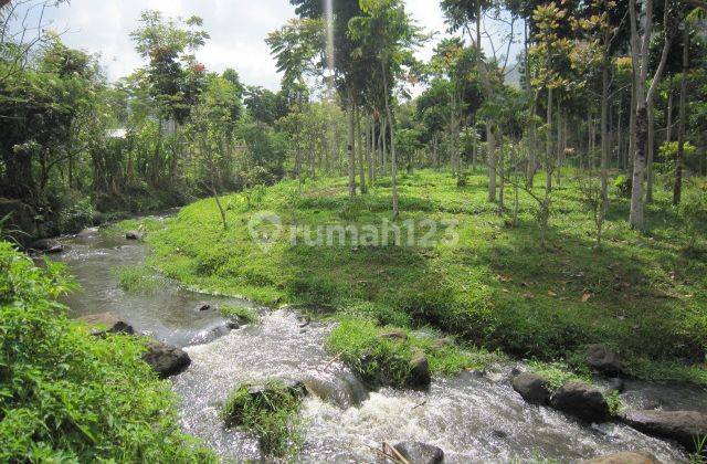 TANAH TOP DI MARIBAYA LEMBANG 2