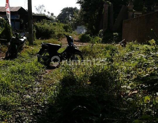 Tanah ukuran 2500m lokasi Daeng Ramang 2