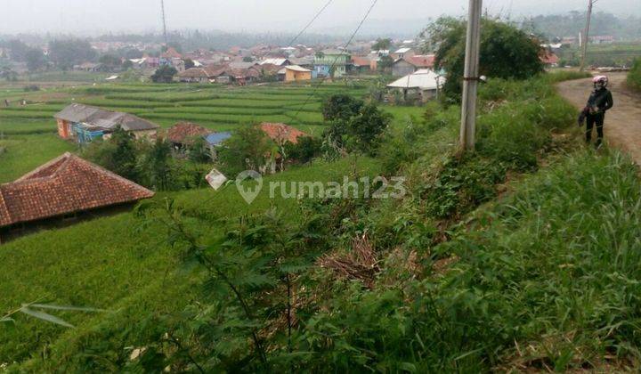 Lahan di daerah Cianjur 2