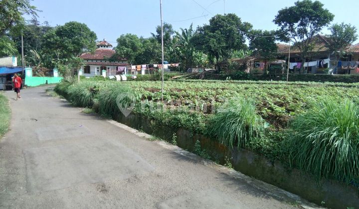 Tanah Cakep View Gunung Jalur Wisata Tenjolaya Bogor Tanah Cakep View Gunung Jalur Wisata Tenjolaya Bogor