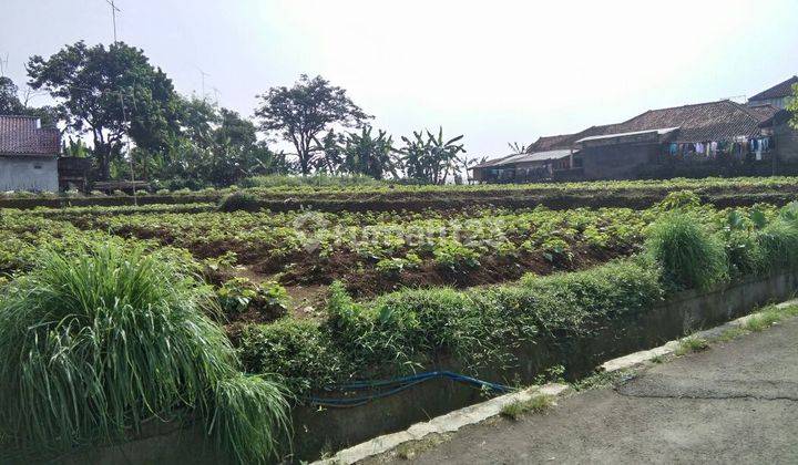 Tanah Strategis View Bagus Jl Gunung Mulya Dekat Wisata Curug 2