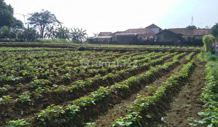 Tanah Strategis View Bagus Jl Gunung Mulya Dekat Wisata Curug 1