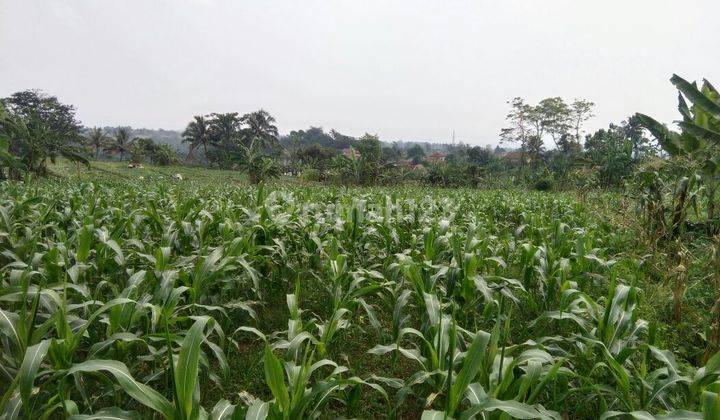 Tanah Subur Strategis Jl Gunung Mulya Dekat Wisata Gunung SalaK 1