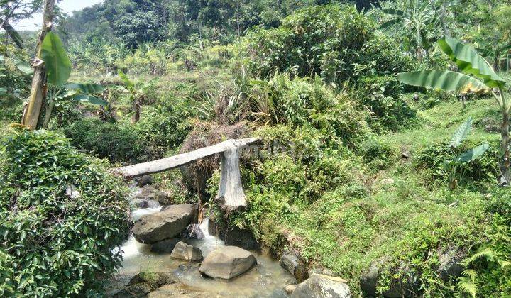 Tanah di Bogor ada mata air besar ccok untuk air mineral 1