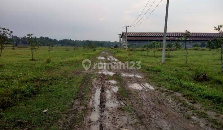 Kavling 12Ha Pinggir Jalan Raya Kutruk Tigaraksa Tangerang 1