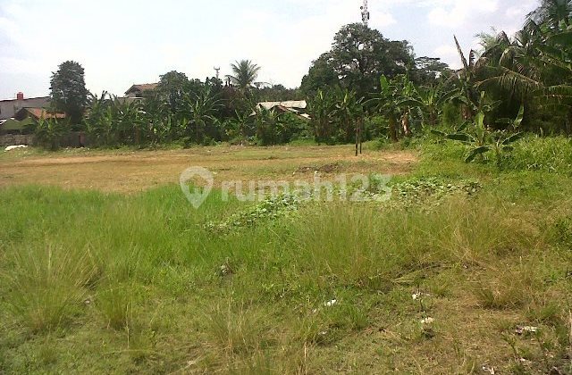 TANAH JLN RAYA  SENTUL - CITEUREUP, BOGOR