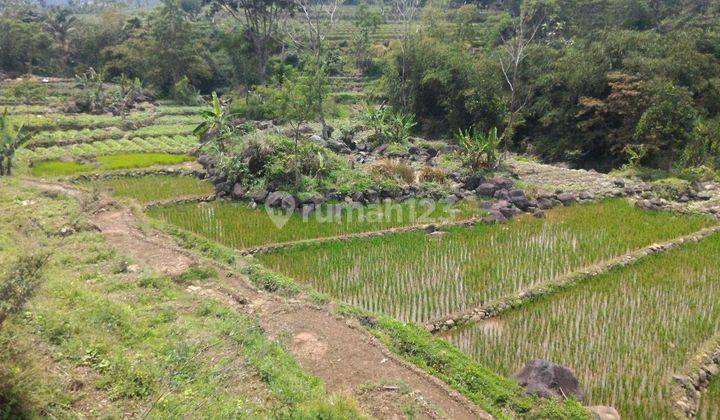 Tanah di Bogor Murah Lokasi strategis samping aliran sungai 2