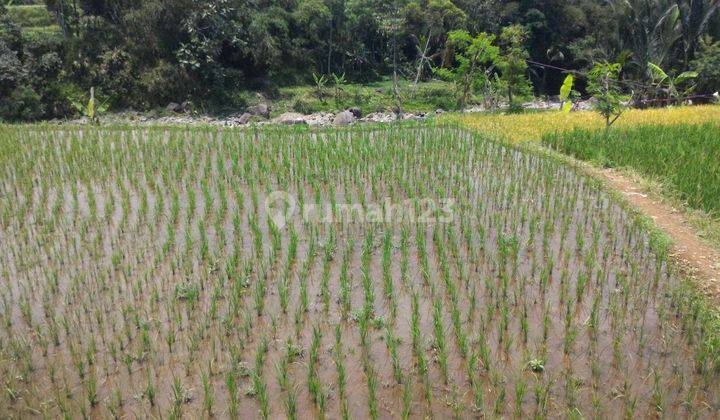 Tanah di Bogor Murah Lokasi strategis samping aliran sungai 1