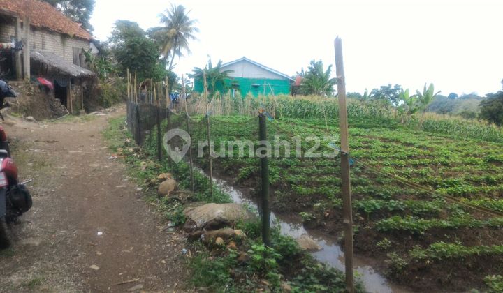 Tanah Subur View Gunung Salak Jalur Wisata Tenjolaya Bogor Tanah Subur View Gunung Salak Jalur Wisata Tenjolaya Bogor