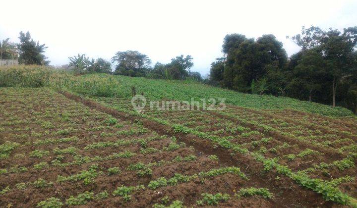 Tanah Subur Jl Abdul Fatah Dekat Wisata Dan PasaR 1