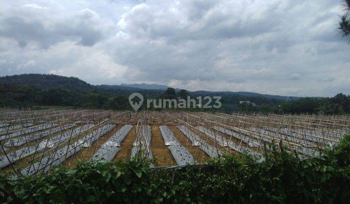 Tanah Bagus Subur Asri Air Bagus Untuk Agro Tani Dan Perikanan 2