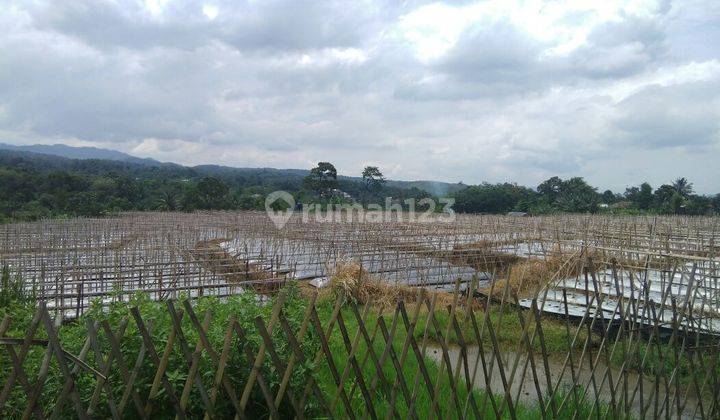 Tanah Pertanian Subur Air Bagus Untuk Agro Tani Dan Perikanan 1
