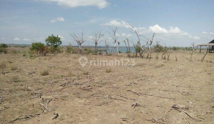 Lahan Murah View Pantai Depan Hotel Pantai Pink Lombok 1