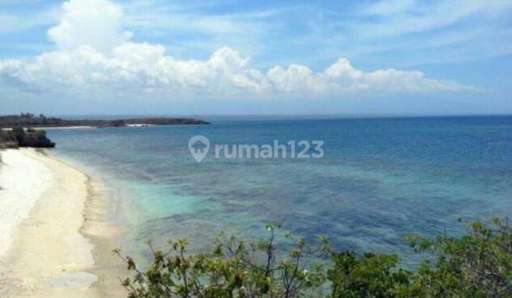 Tanah Murah Los Pantai Pink Cocok Hotel Dan Villa 2