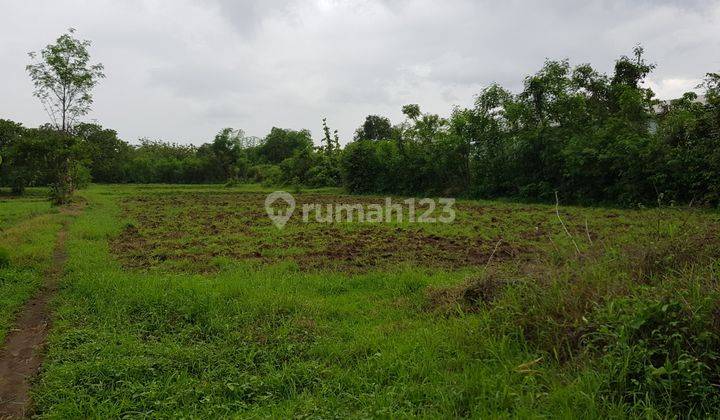 Tanah Industri Ngoro, Mojokerto, Jawa Timur, Siap Bangun, Tanpa Uruk, SHM 2