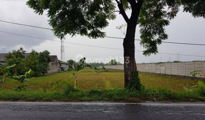 Tanah Industri, Nogosari, Pandaan, Pasuruan, Jawa Timur, SHM 2