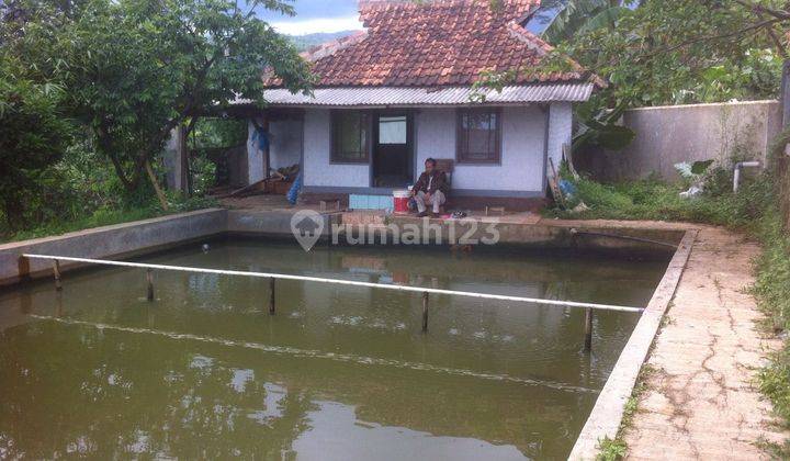 Tanah Dan Kolam Ikan di Ujungberung Nagrog Bandung Timur 1