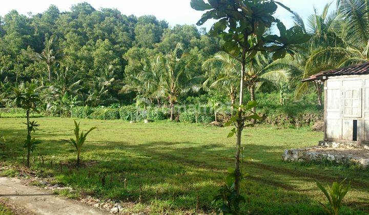 Tanah dengan view pantai di pacitan.. 2