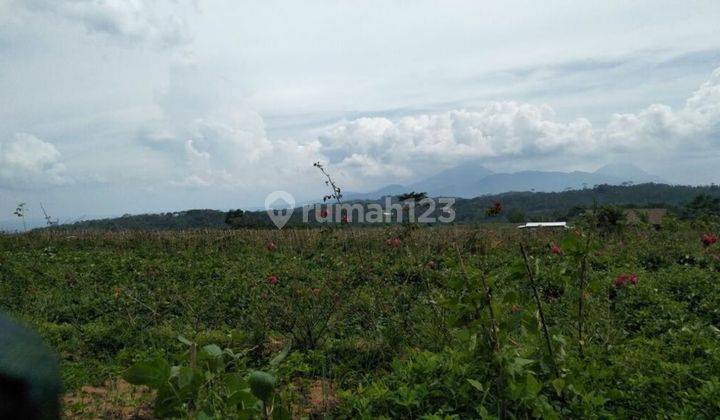 TANAH VIEW BAGUS DI BANDUNGAN 1