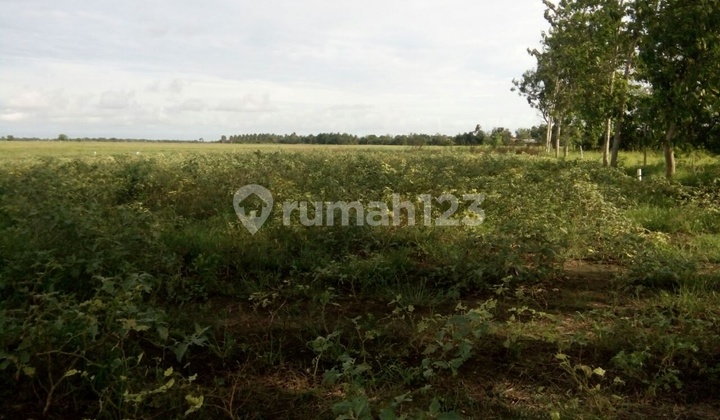 tanah untuk perindusrtian luas 270 termurah @babelan