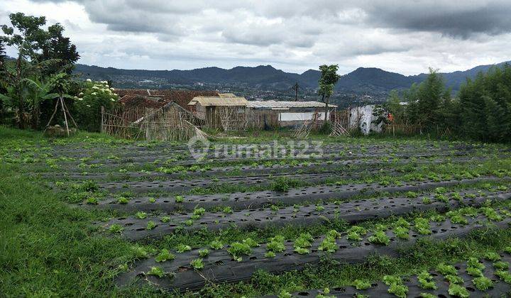 Tanah Persegi Bagus Pemandangan Seluas 9.815 M2 1