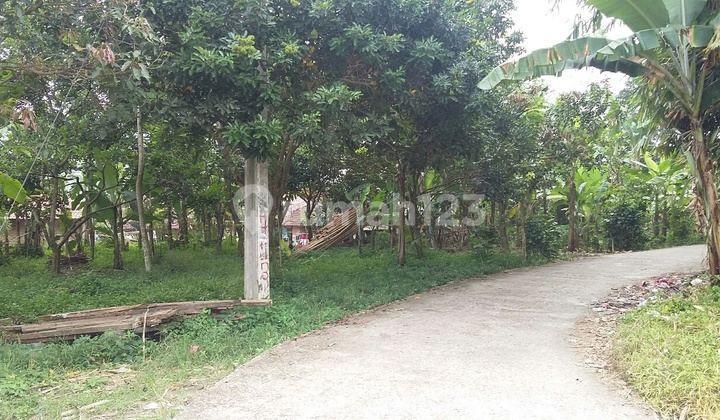 2 kavling murah berhadapan di sibanteng leuwisadeng. cocok untuk dibangun cluster 2 kavling murah berhadapan di sibanteng leuwisadeng. cocok untuk dibangun cluster