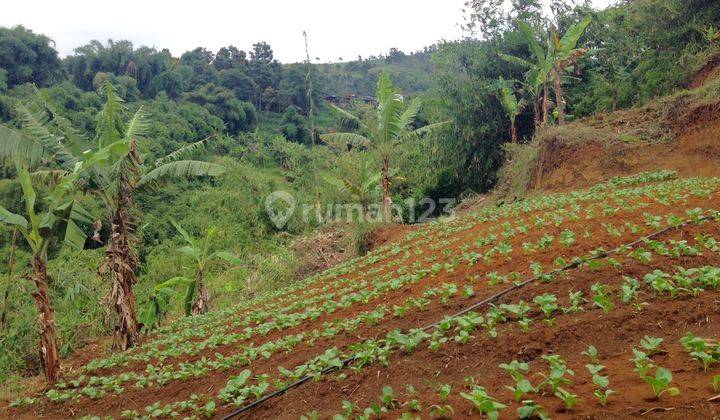 Tanah Puncak Punclut Lembang 1