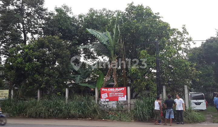 Segera Nego Segera Nego