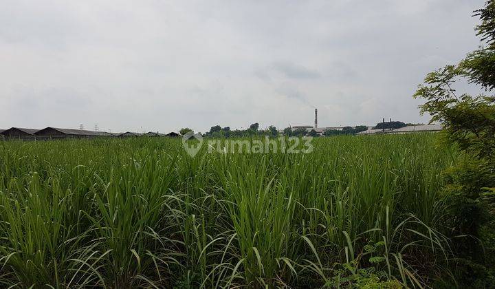 Tanah Industri,Desa Kepuh, Kertosono, Nganjuk (Nol Jalan Raya Provinsi) 2